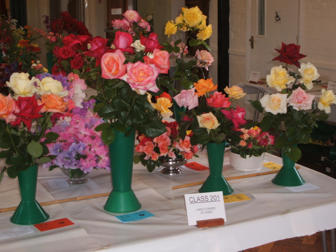 2008 Summer Show Roses
