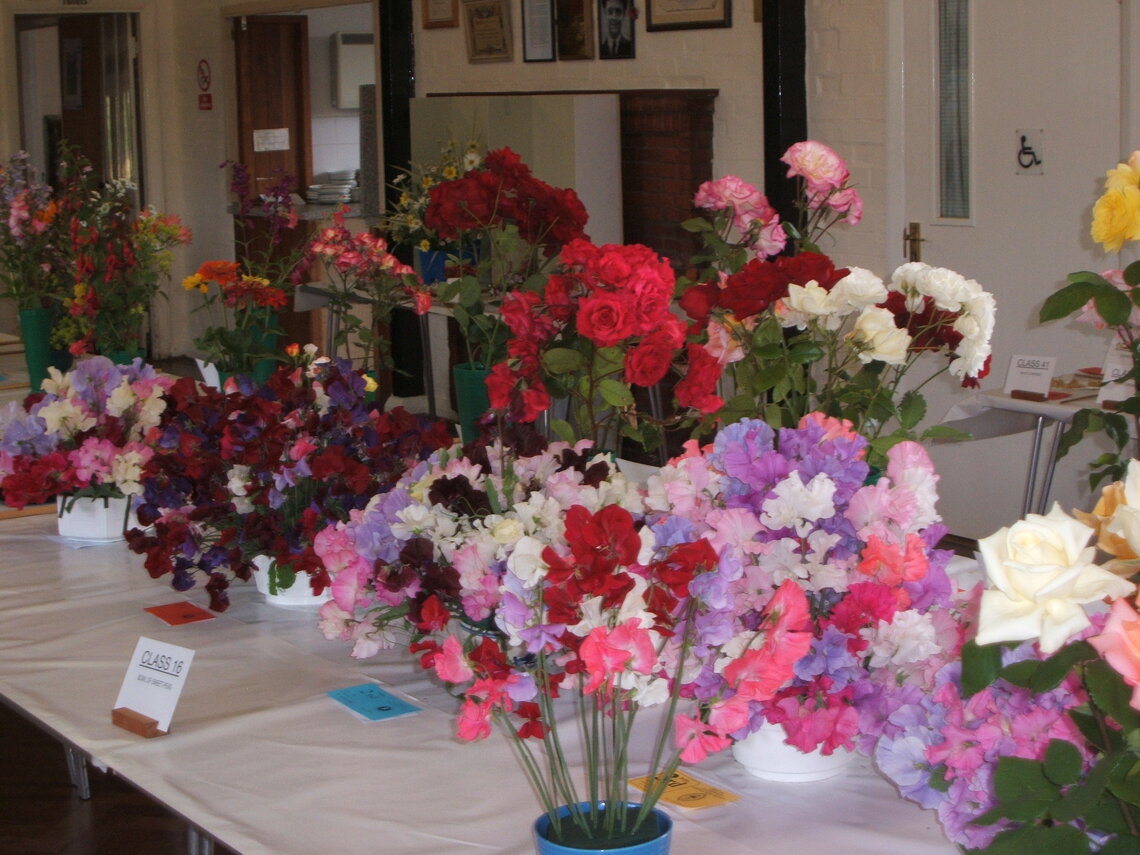 2008 Summer Show Sweet Peas 1