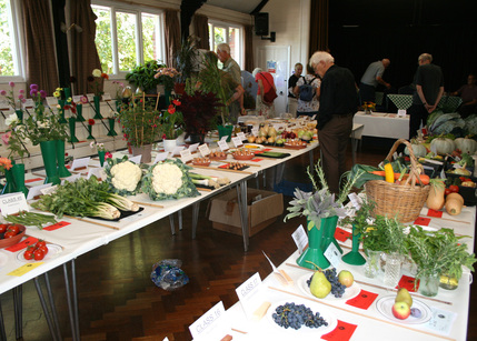 2026 Autumn Show 1