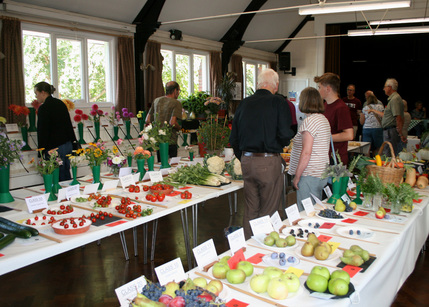 2026 Autumn Show 3