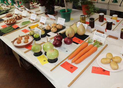 2026 Autumn Show 4 L