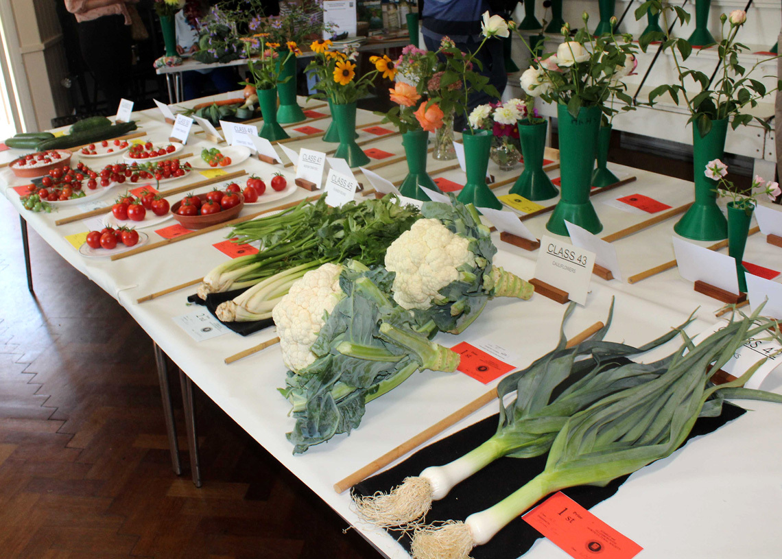 2026 Autumn Show 5 L