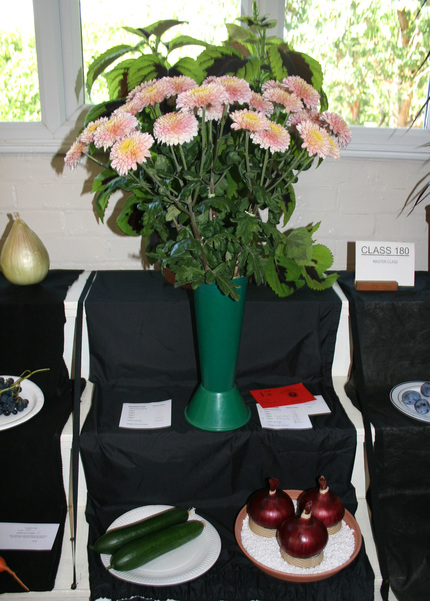 2026 Autumn Show Class 180 1 P