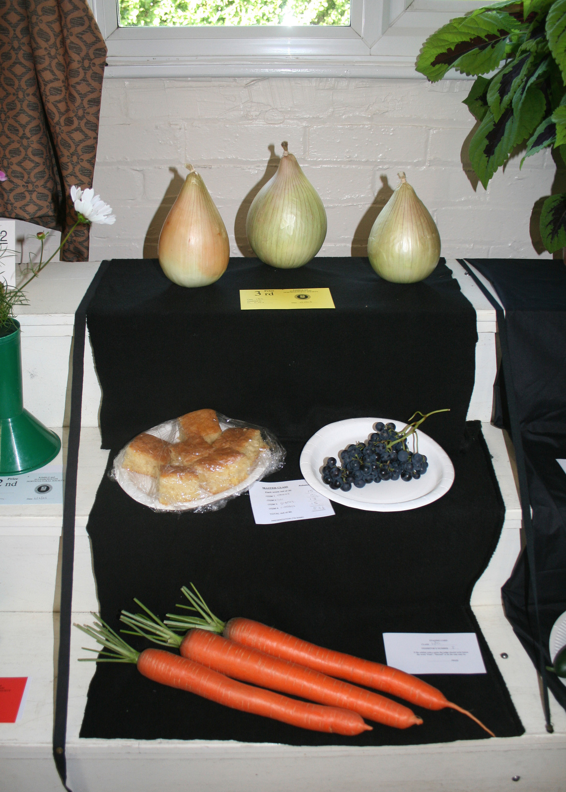 2026 Autumn Show Class 180 1 P