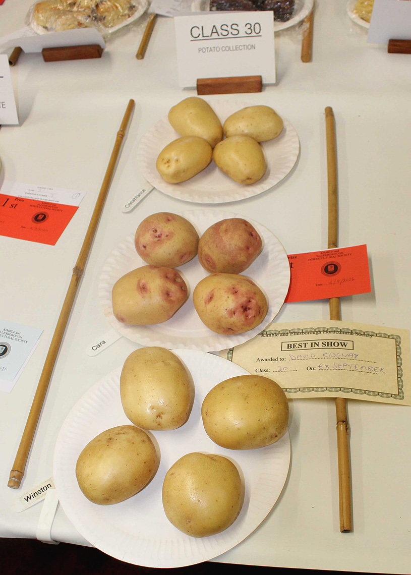 2026 Autumn Show Class 30 P