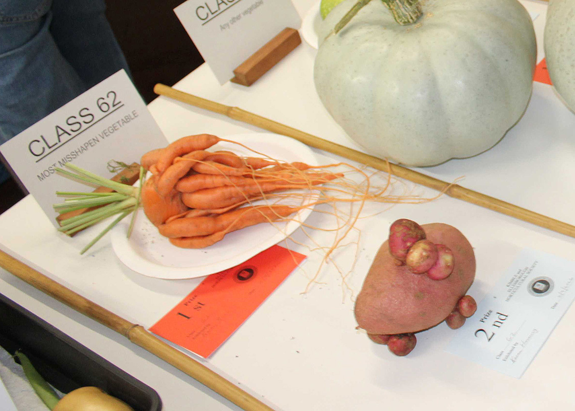 2026 Autumn Show Class 32 L