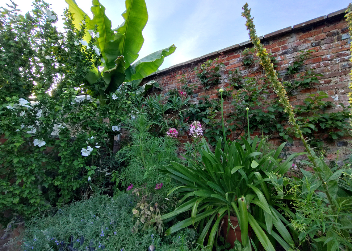 Albury - Another Walled Garden