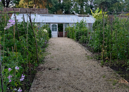 Albury - The Kitchen Garden