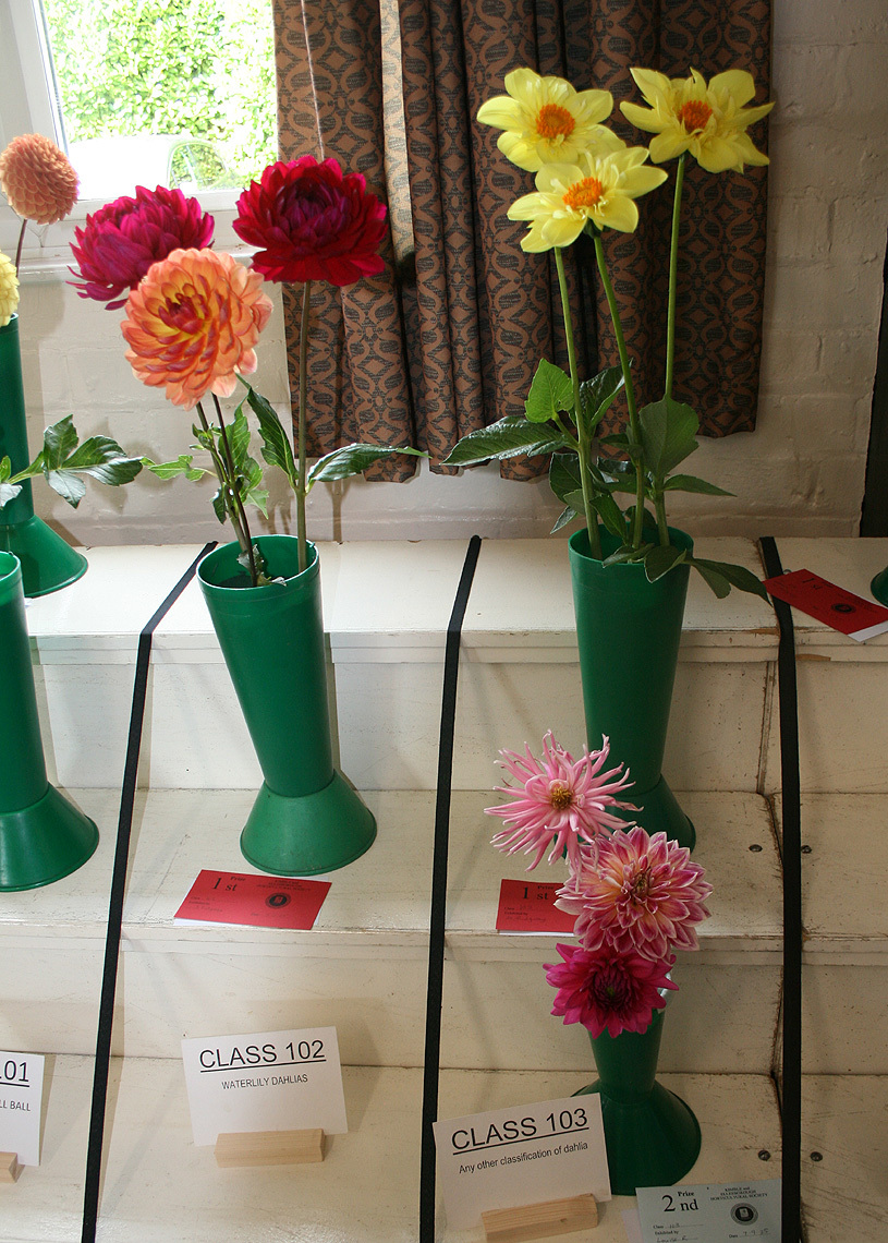 Autumn Show 2025 Class 102 and 103 P