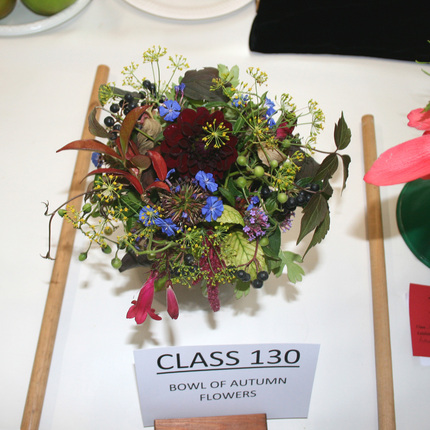 Autumn Show 2025 Class 130 SQ