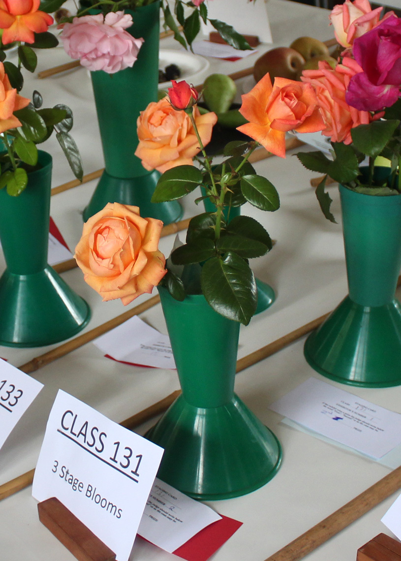 Autumn Show 2025 - Class 131 P