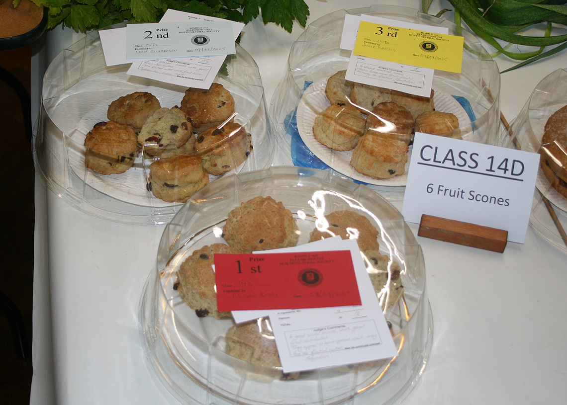 Autumn Show 2025 Class 14D SQ