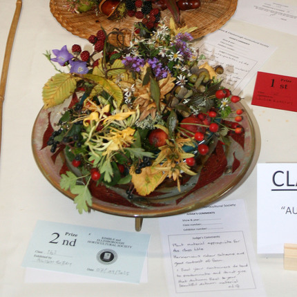 Autumn Show 2025 Class 163 SQ