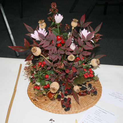 Autumn Show 2025 Class 163 B P