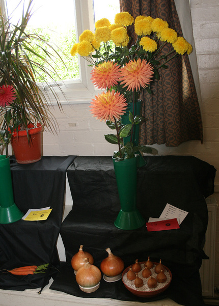 Autumn Show 2025 Class 180 A P
