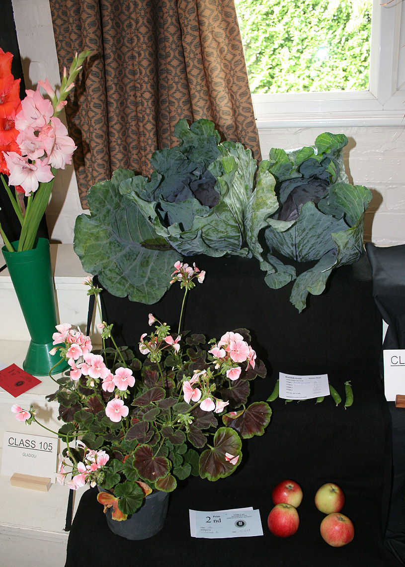 Autumn Show 2025 Class 180 B P