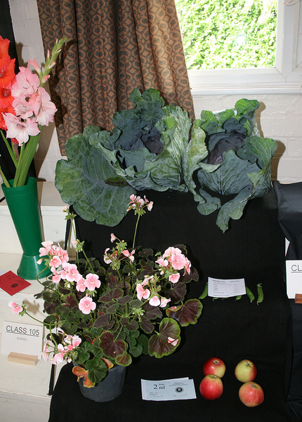 Autumn Show 2025 Class 180 B P