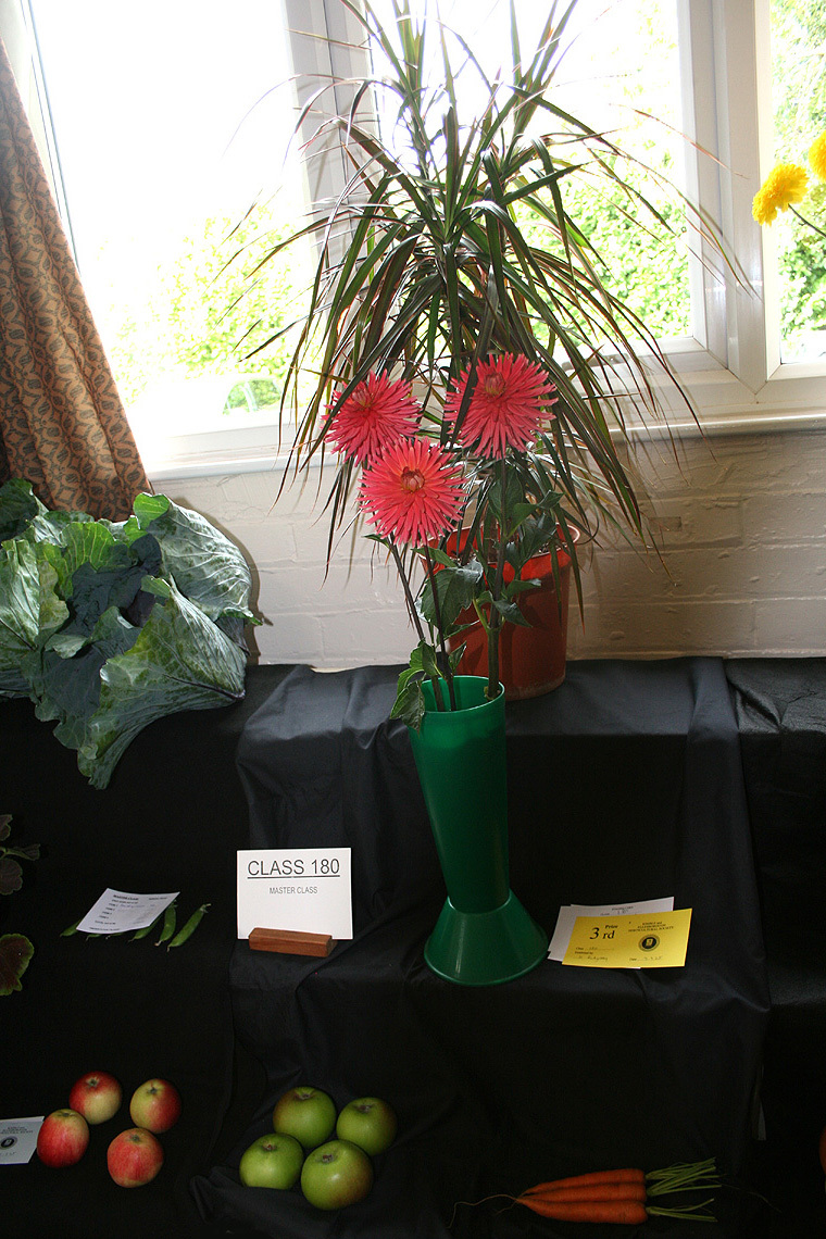 Autumn Show 2025 Class 180 C P