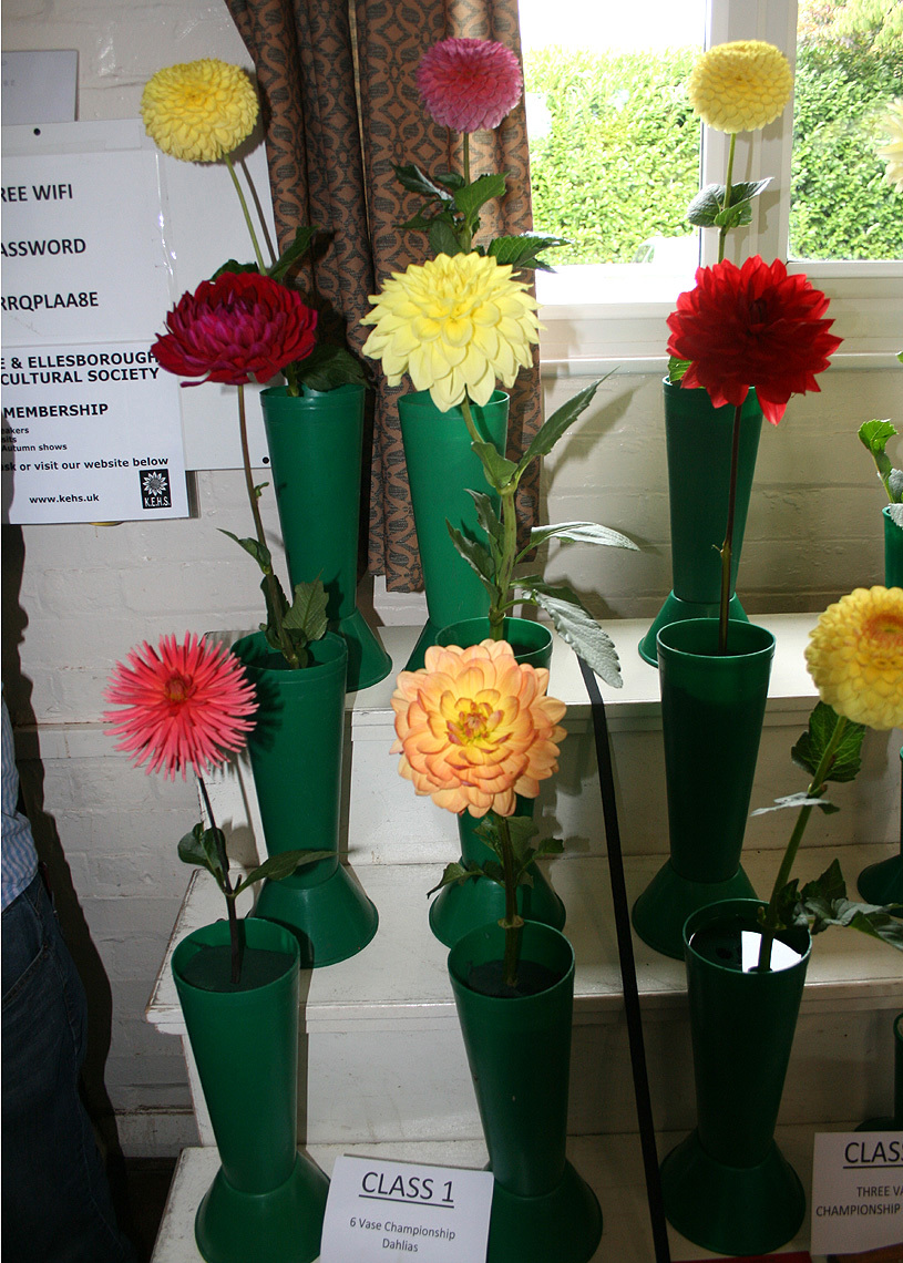 Autumn Show 2025 Class 1 815x1140