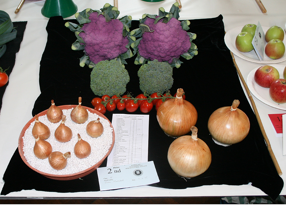 Autumn Show 2025 Class 5 2 1140