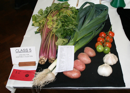 Autumn Show 2025 Class 5 1140