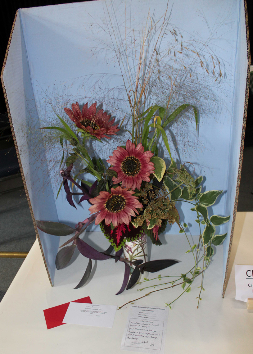 Autumn Show 2025 Class 6 815x1140