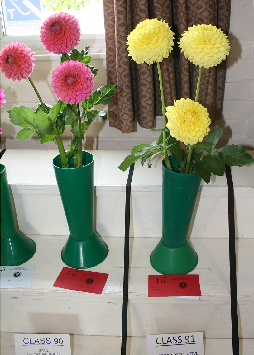 Autumn Show 2025 Class 90 and 91 P