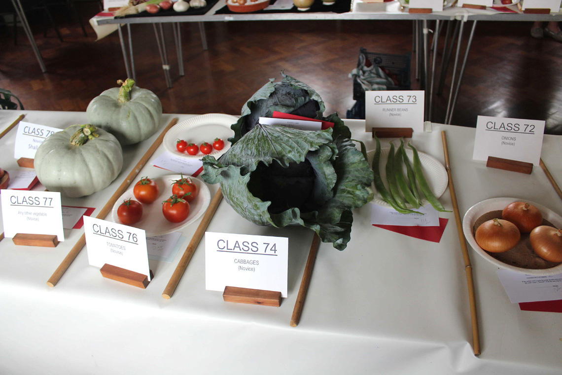 Autumn Show 2025 Class Novice Veg L