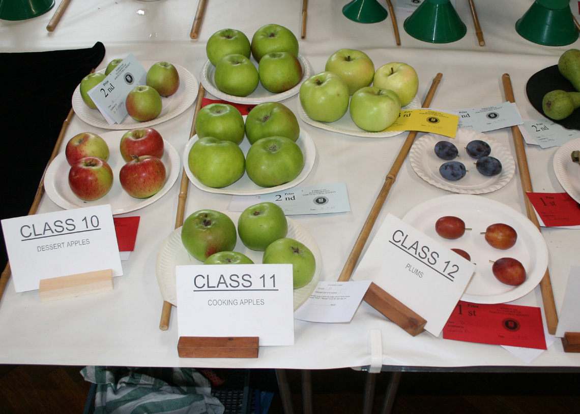 Autumn Show 2025 Classes 10-12 L