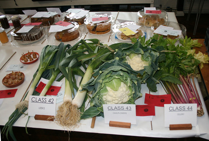 Autumn Show 2025 Classes 42-43 L