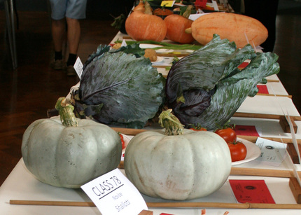 Autumn Show 2025 Classes Novice Veg L