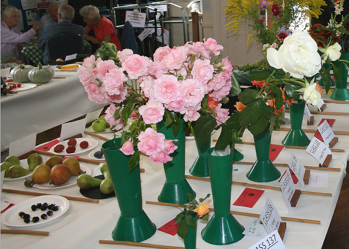 Autumn Show 2025 Roses L