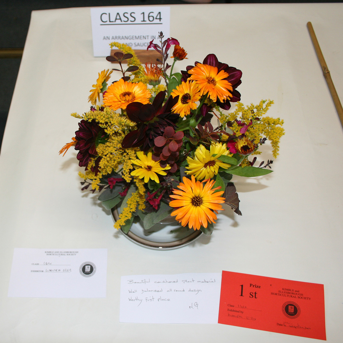Autumn Show 2026 Class 164 SQ