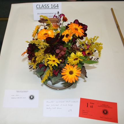 Autumn Show 2026 Class 164 SQ