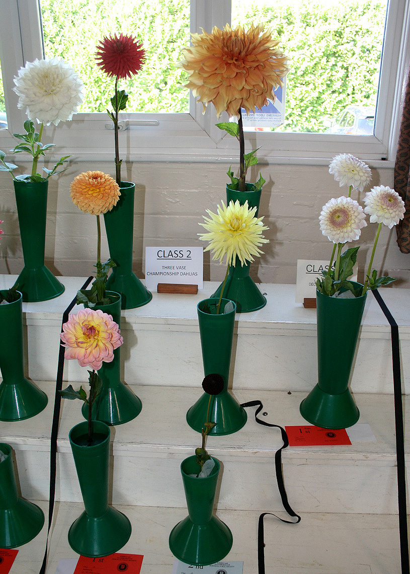 Autumn Show 2026 Class 2 P