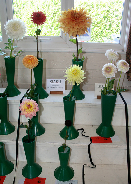 Autumn Show 2026 Class 2 P