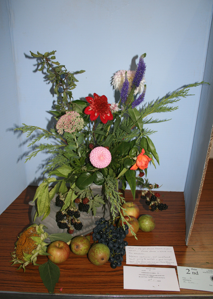 Autumn Show 2026 Class 6 B