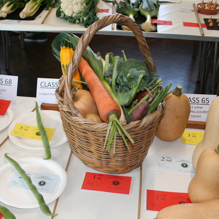 Autumn Show 2026 Class 66 SQ