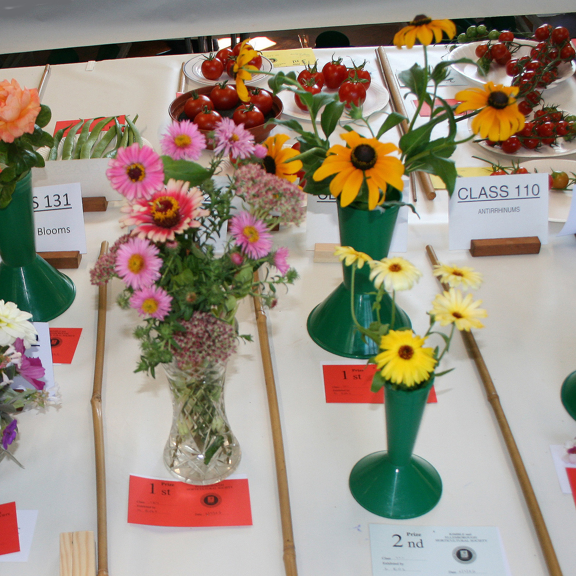Autumn Show 2026 Classes 111 and 127