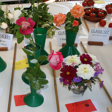 Autumn Show 2026 Classes 130 and 133