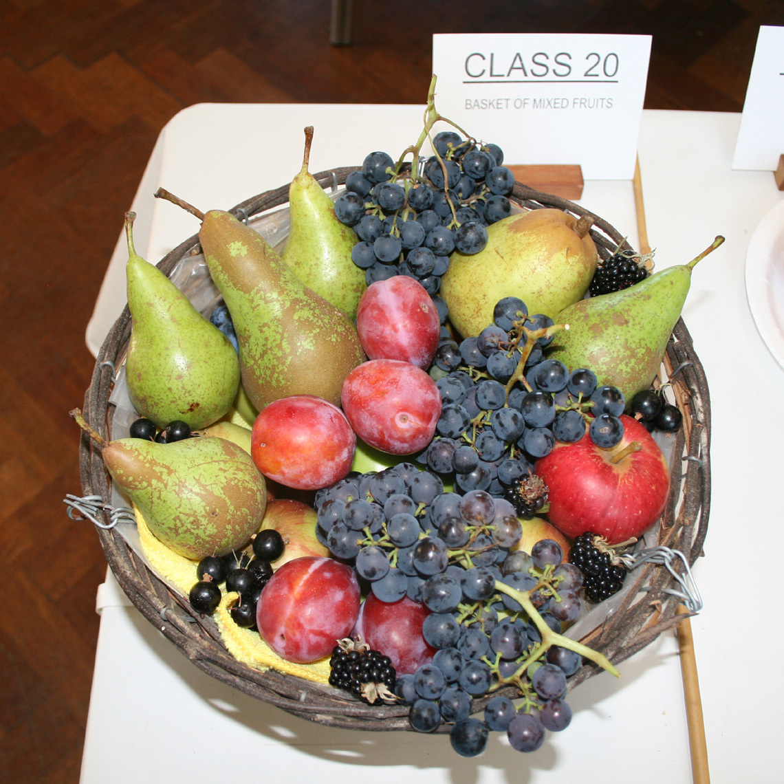 Autumn Show 2026 Classes 20 SQ