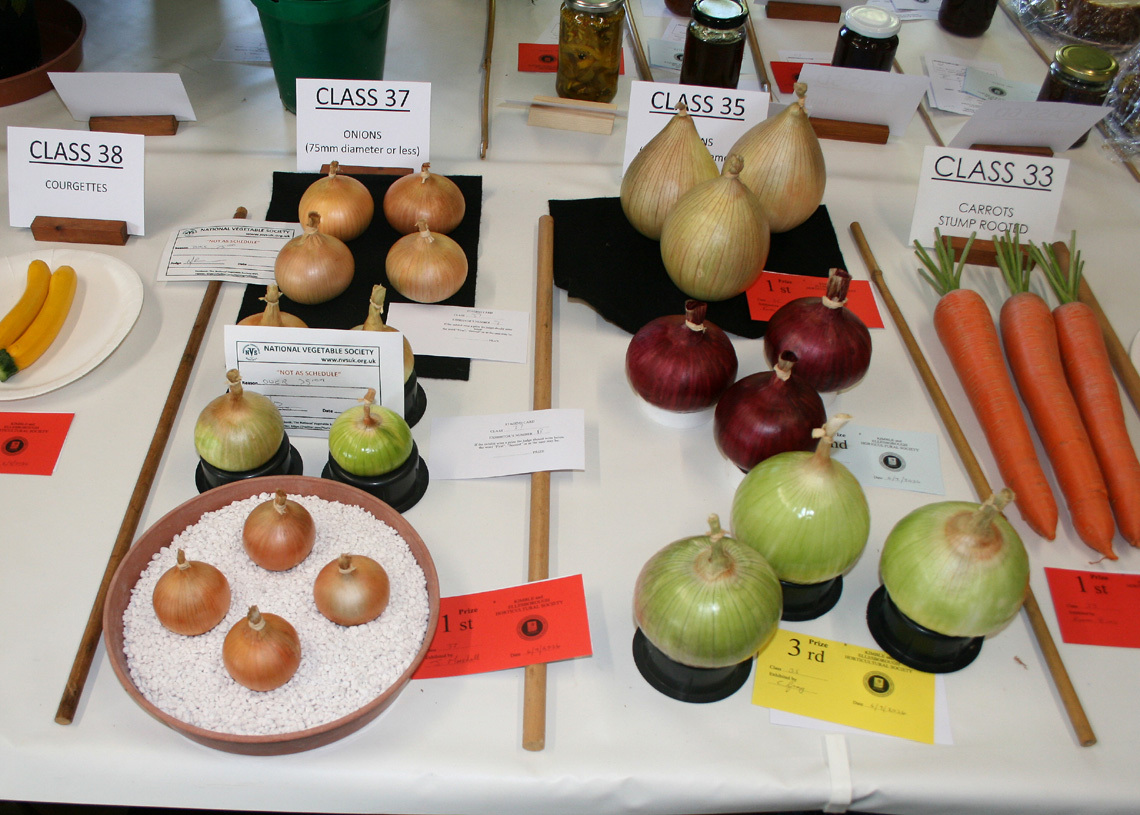 Autumn Show 2026 Classes 35 and 37 L
