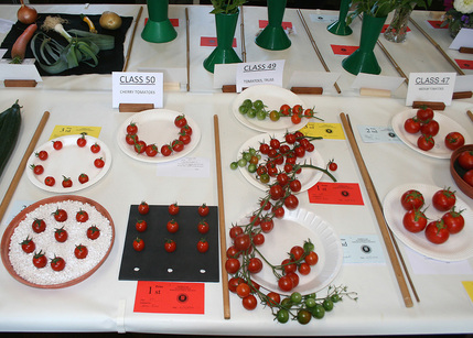 Autumn Show 2026 Classes 47 49 and 50 L