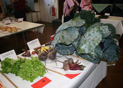 Autumn Show 2026 Classes 53 54 and 56 L