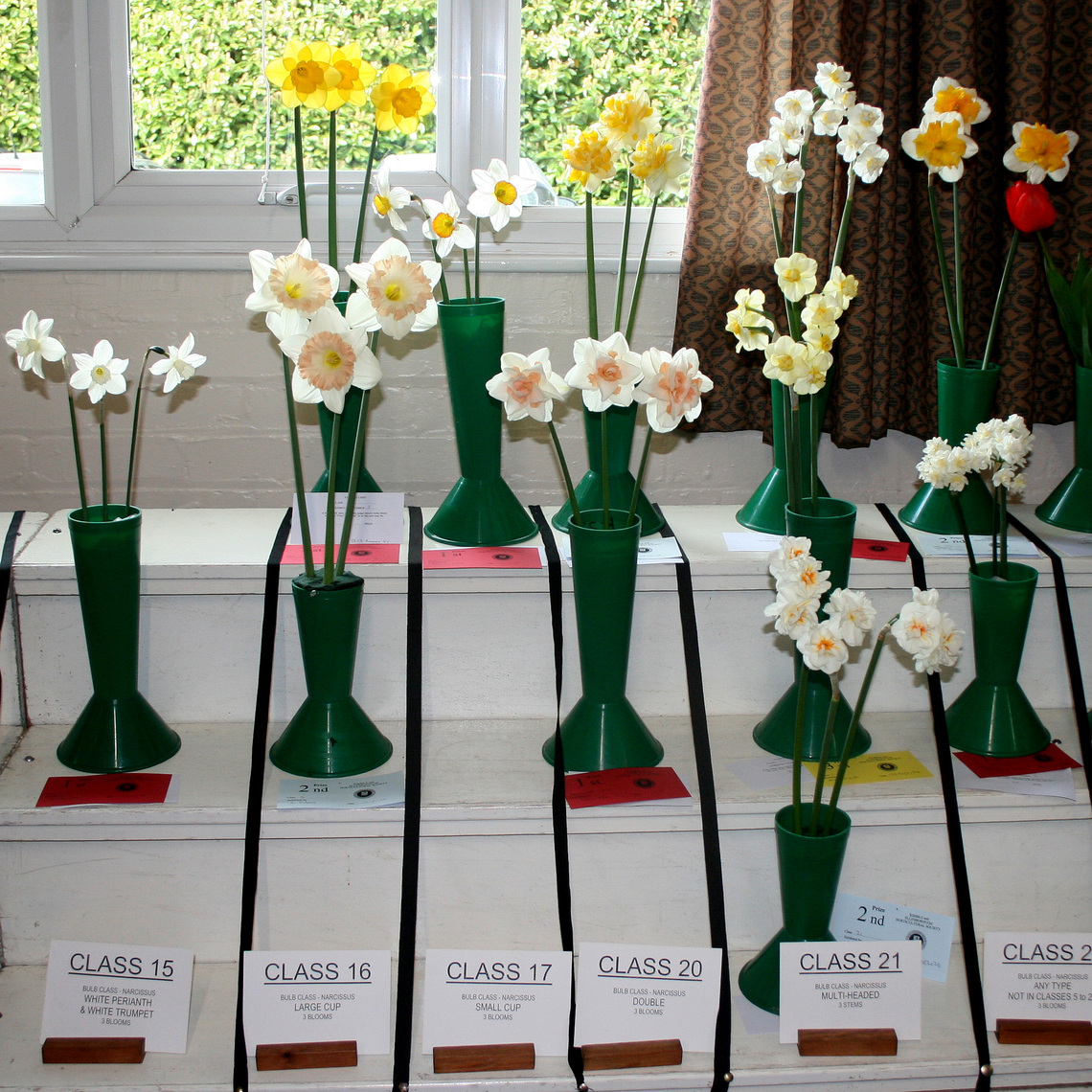 Class 15-21 Narcissi