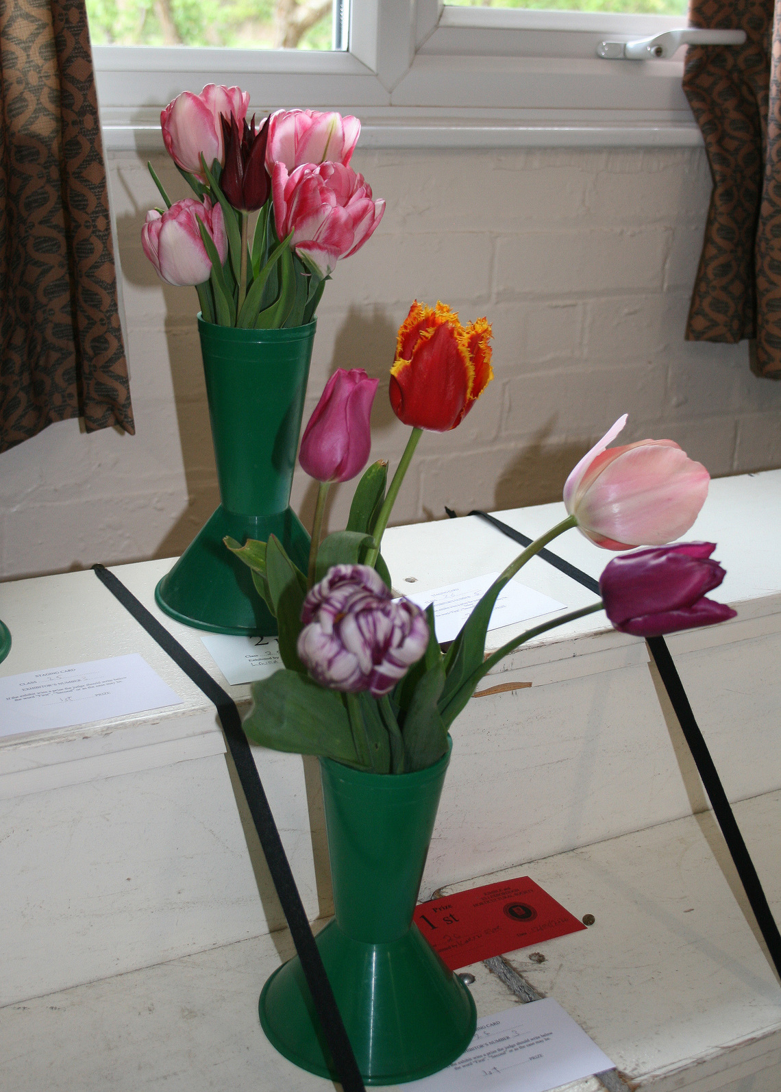 Class 26 Tulips