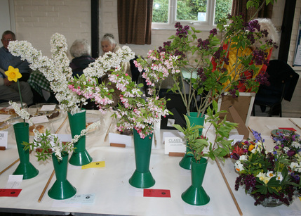 Class 4 Shrub Blossom L