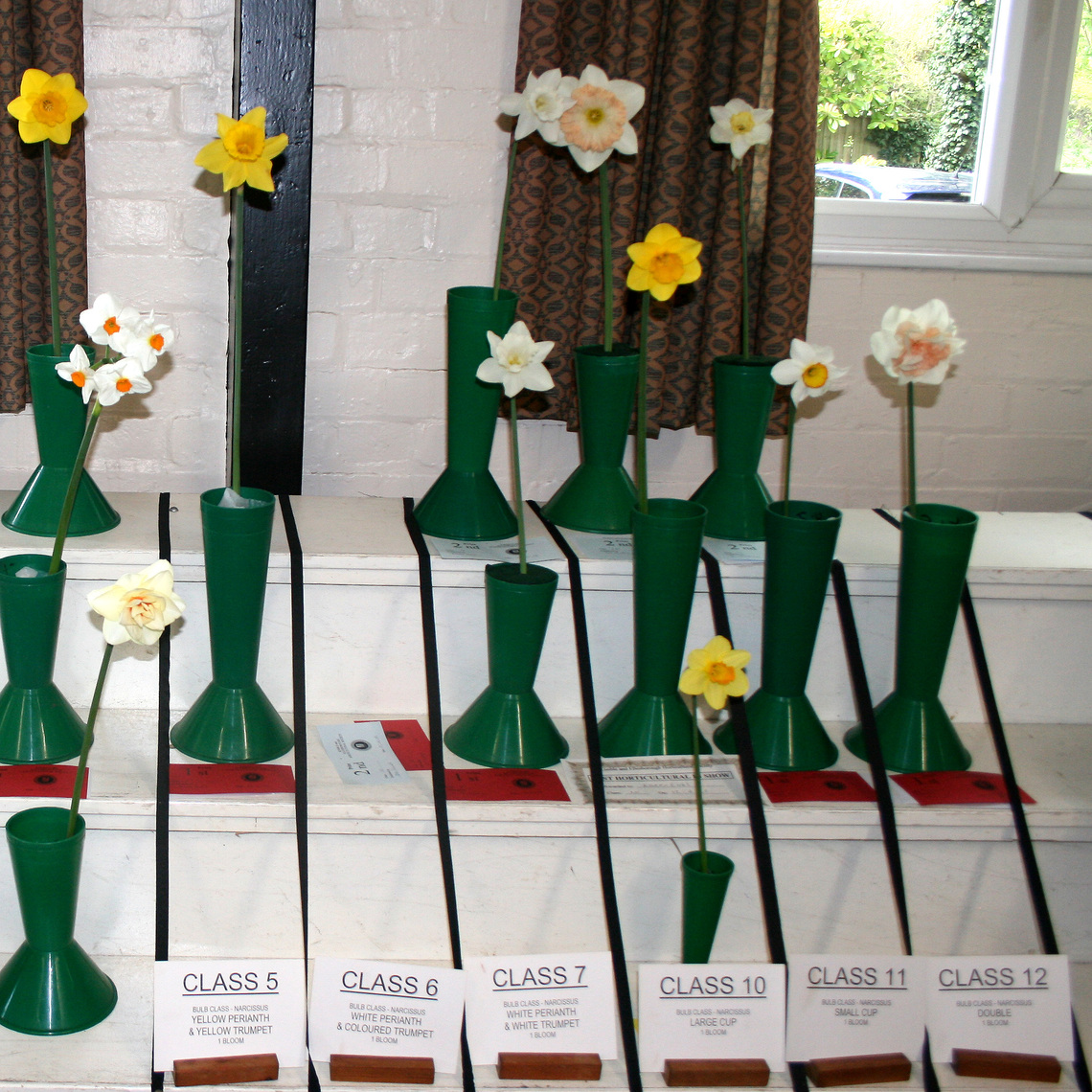 Class 5-12 Narcissi