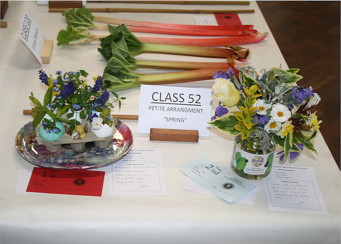 Class 52 - A Petite Spring Arrangement in a Recyclable Container 1 L