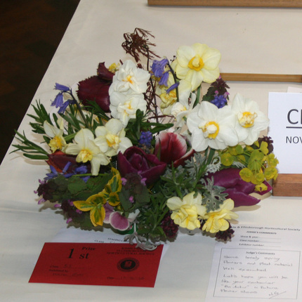 Class 53 - Novice Floral Art A Petite Spring Arrangement in a Recyclable Container 2S